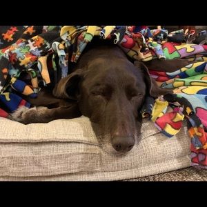 Meet your Posher, Anastacia